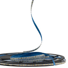 Світлодіодна LED стрічка PROLUM 24V IP20 2835\120 6ММ S-TYPE Series "S", Блакитний Лід