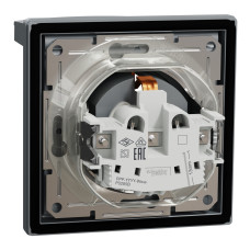 Розетка з заземленням з захисними шторками сталь IP44 Schneider Asfora EPH3100362