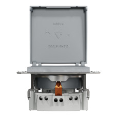 Розетка з кришкою з заземленням сталь Schneider Asfora EPH3100162