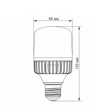 LED лампа VIDEX A65 20W E27 5000K