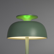Настiльна LED лампа з акумулятором VIDEX VL-TF24G 8W 4000K+RGB Green